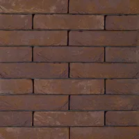 Cărămida Pagus Iluzo Paars