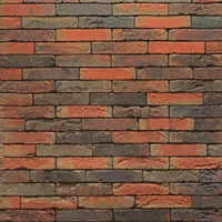 Cărămida Pagus Iluzo Rood Bruin