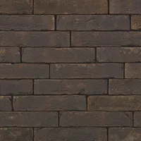 Cărămida Pagus Iluzo Zwart