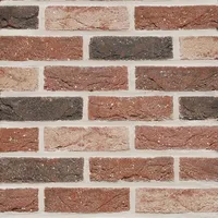 Cărămida Patrimonia Barok 83