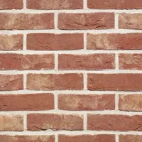 Cărămida Patrimonia Opus