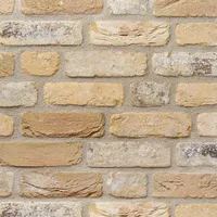 Cărămida Rustica Oud Damme