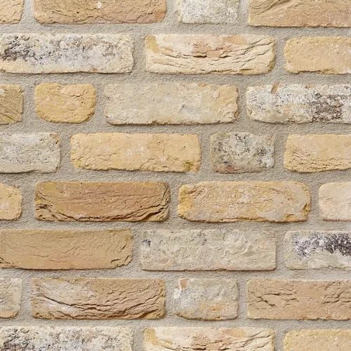 Cărămida Rustica Oud Damme