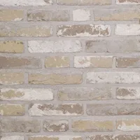 Cărămida Rustica Oud Laethem