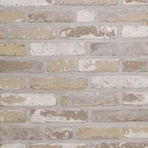 Caramida aparenta Rustica Oud Laethem