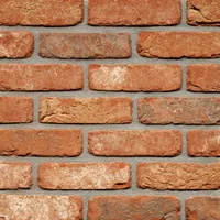 Cărămida Rustica Oud Ravels