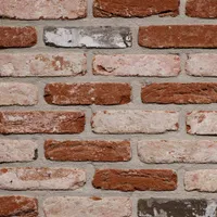 Cărămida Rustica Oude Veldsteen