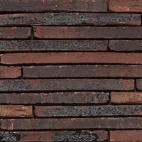 Cărămida Wasserstrich Special E1