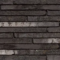 Cărămida Wasserstrich Special E2