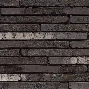 Caramida aparenta Wasserstrich Special E2