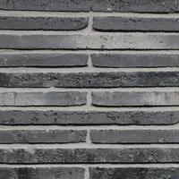 Cărămida Wasserstrich Special E2