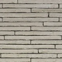 Cărămida Wasserstrich Special Grijs