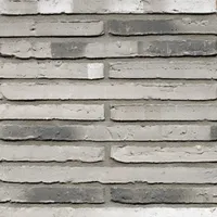 Cărămida Wasserstrich Special Kwartsgrijs