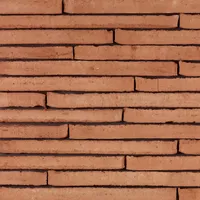 Cărămida Wasserstrich Special Orientrood