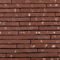 Cărămida Wasserstrich Special Rood