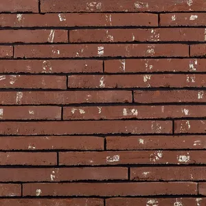 Caramida aparenta Wasserstrich Special Rood