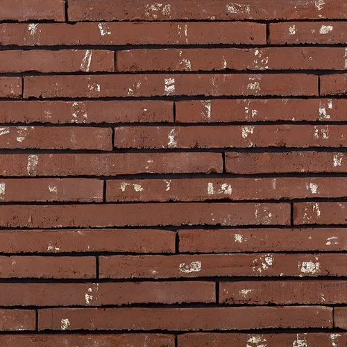 Cărămida Wasserstrich Special Rood