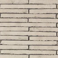 Cărămida Wasserstrich Special Tingrijs