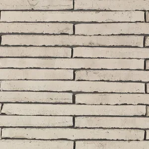 Caramida aparenta Wasserstrich Special Tingrijs