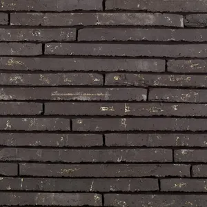 Caramida aparenta Wasserstrich Special Zwart